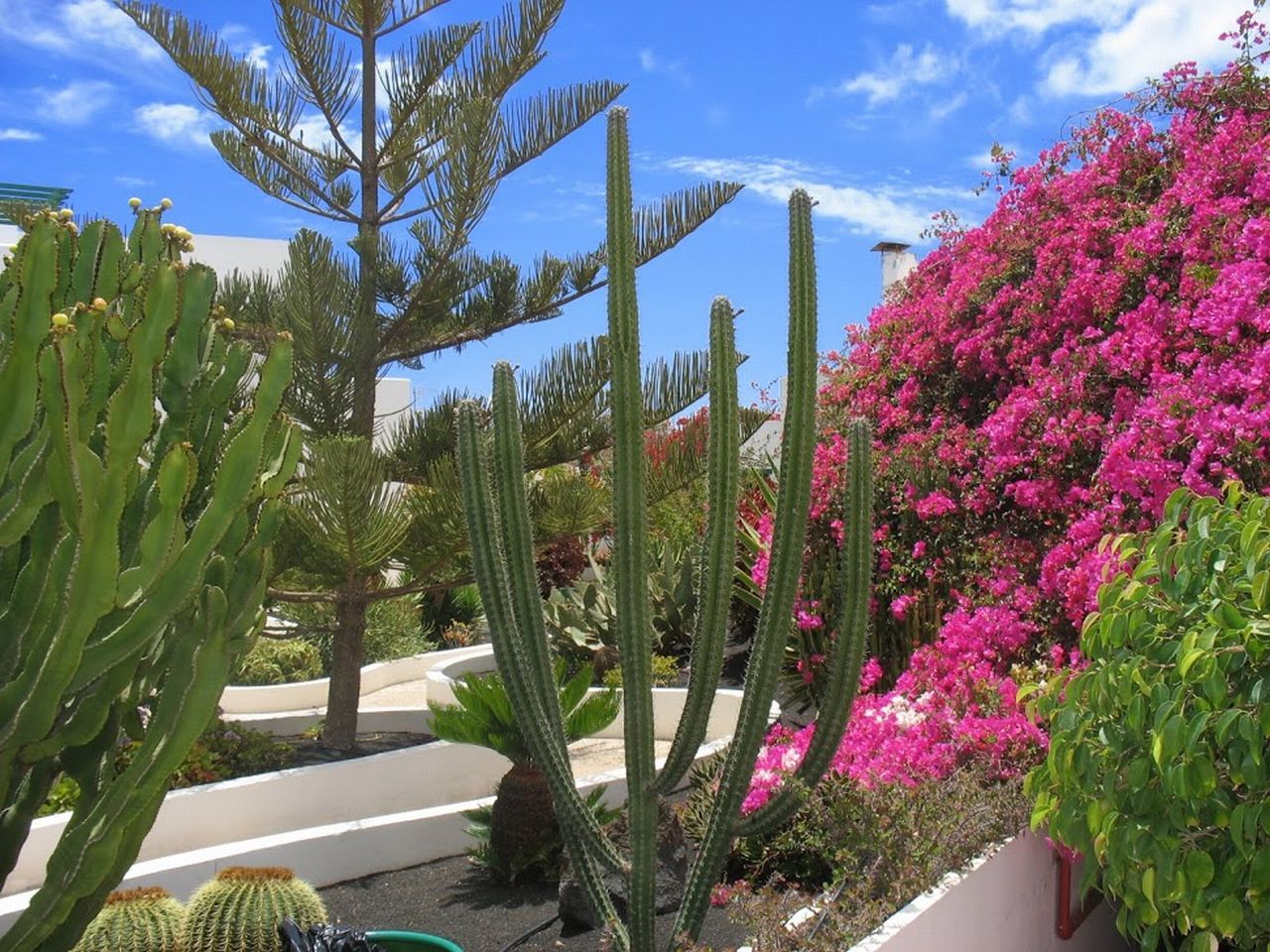 Apartamentos El Guarapo Costa Teguise Luaran gambar